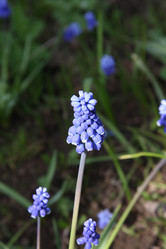 Similar image 467768