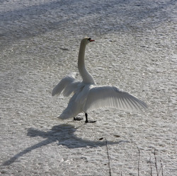 Similar image 467773