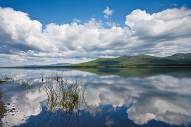 Similar image 467782