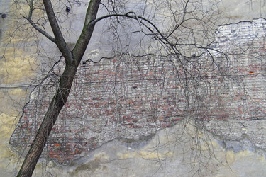 Similar image 467784