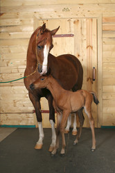 Similar image 467796