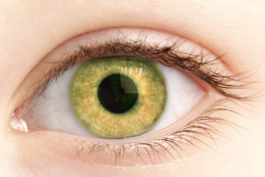 Similar image 467886