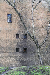 Similar image 467921