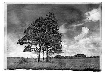 Similar image 467929