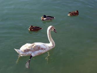 Similar image 467934