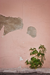 Similar image 467948