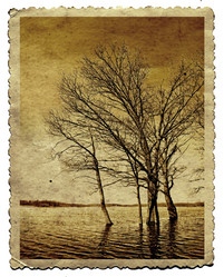 Similar image 467966