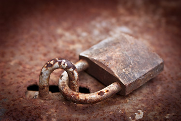 Similar image 467986