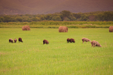 Similar image 467994