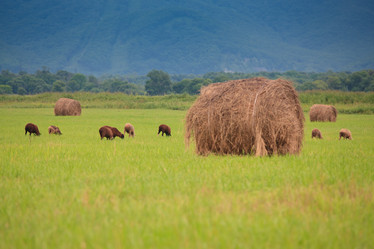 Similar image 467997