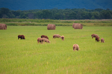 Similar image 467999