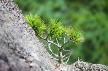 Similar image 468025