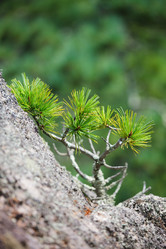 Similar image 468026