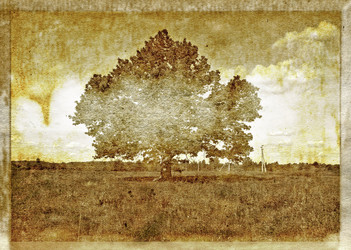 Similar image 468027