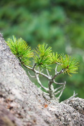 Similar image 468029