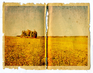 Similar image 468031