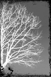 Similar image 468033