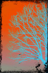 Similar image 468037