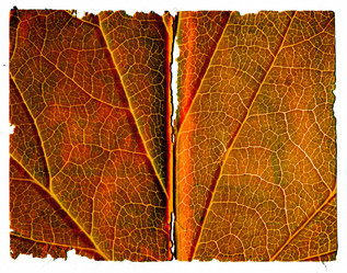 Similar image 468043