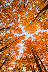 Similar image 468046