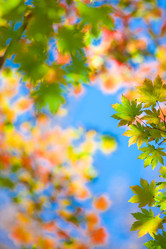 Similar image 468057