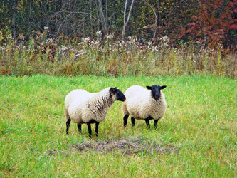 Similar image 468060