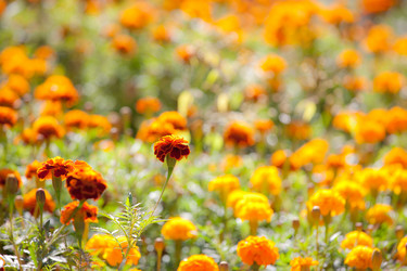 Similar image 468066