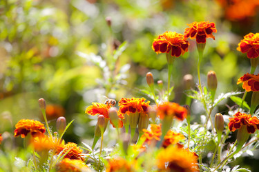 Similar image 468067