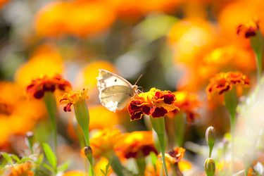 Similar image 468069