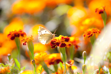 Similar image 468070