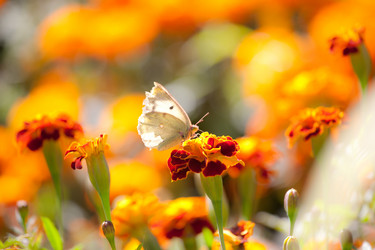 Similar image 468087