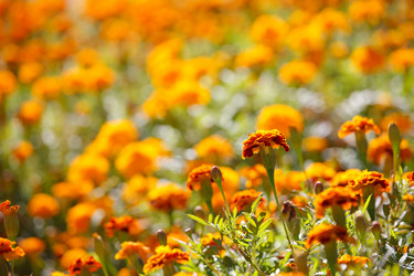 Similar image 468094