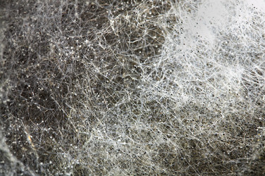 Similar image 468095