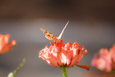 Similar image 468101