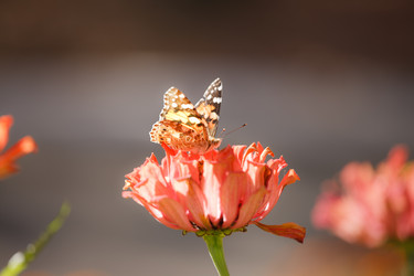 Similar image 468107