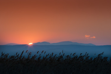 Similar image 468126