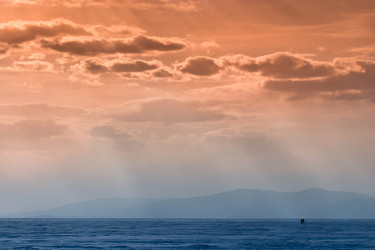 Similar image 468129