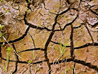 Similar image 468133