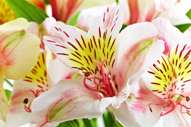 Similar image 468158