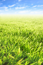 Similar image 468226