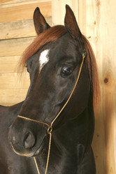 Similar image 468349