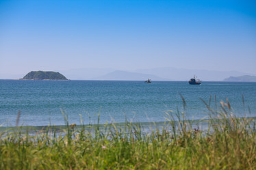 Similar image 468401