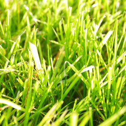 Similar image 468427