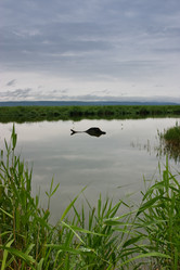 Similar image 468447