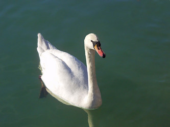 Similar image 468461