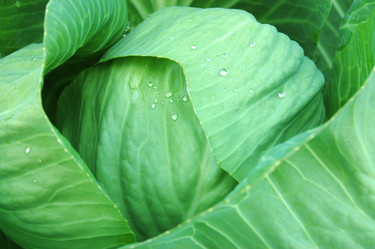 Similar image 468566