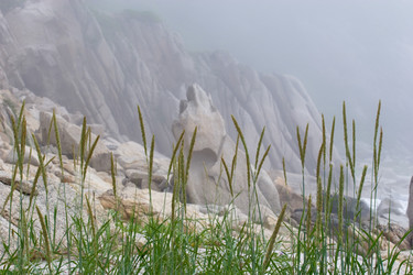 Similar image 468584