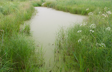 Similar image 468601