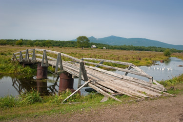 Similar image 468625