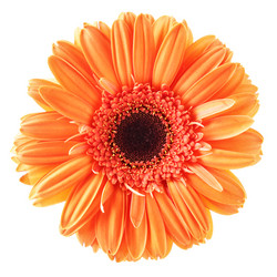 Similar image 468627